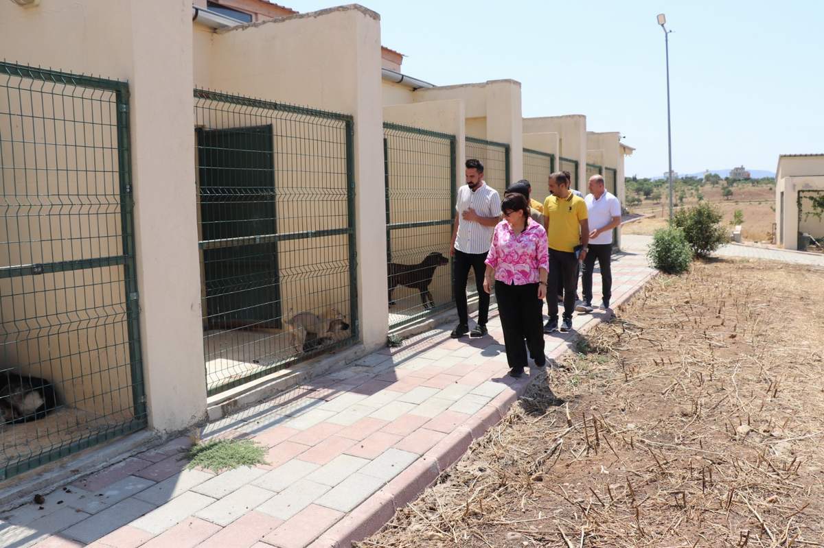 Siirt Belediye Eşbaşkanı Sofya Alağaş Sokak Hayvanları Barınağını Ziyaret Etti