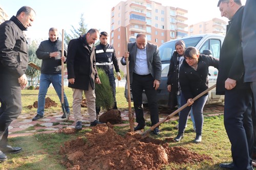 Siirt Belediyesi'nden Yeşil Gelecek İçin Ağaçlandırma Seferberliği